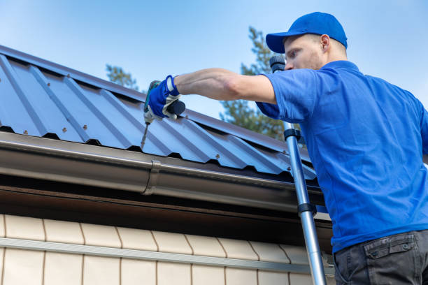 Best Sheet Metal Roofing  in Ravenel, SC