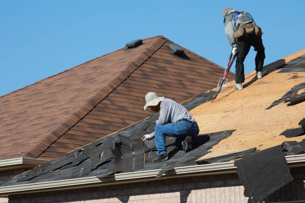 Best Metal Roofing Installation  in Ravenel, SC