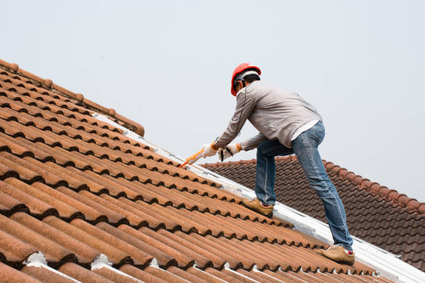 Best Tile Roofing Installation  in Ravenel, SC