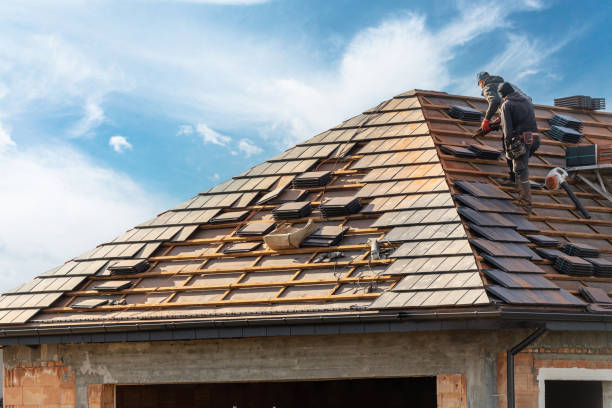 Best Roof Insulation Installation  in Ravenel, SC