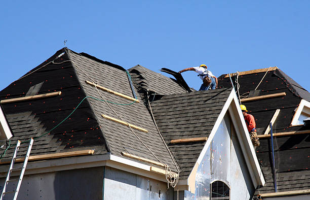 Best Roof Moss and Algae Removal  in Ravenel, SC