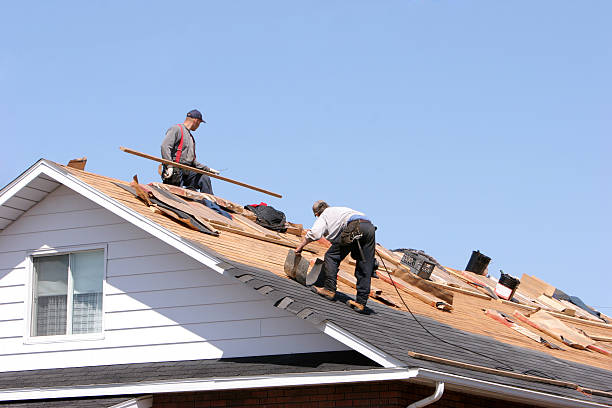 Best Hot Roofs  in Ravenel, SC