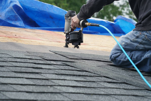 Best Chimney Flashing Repair  in Ravenel, SC